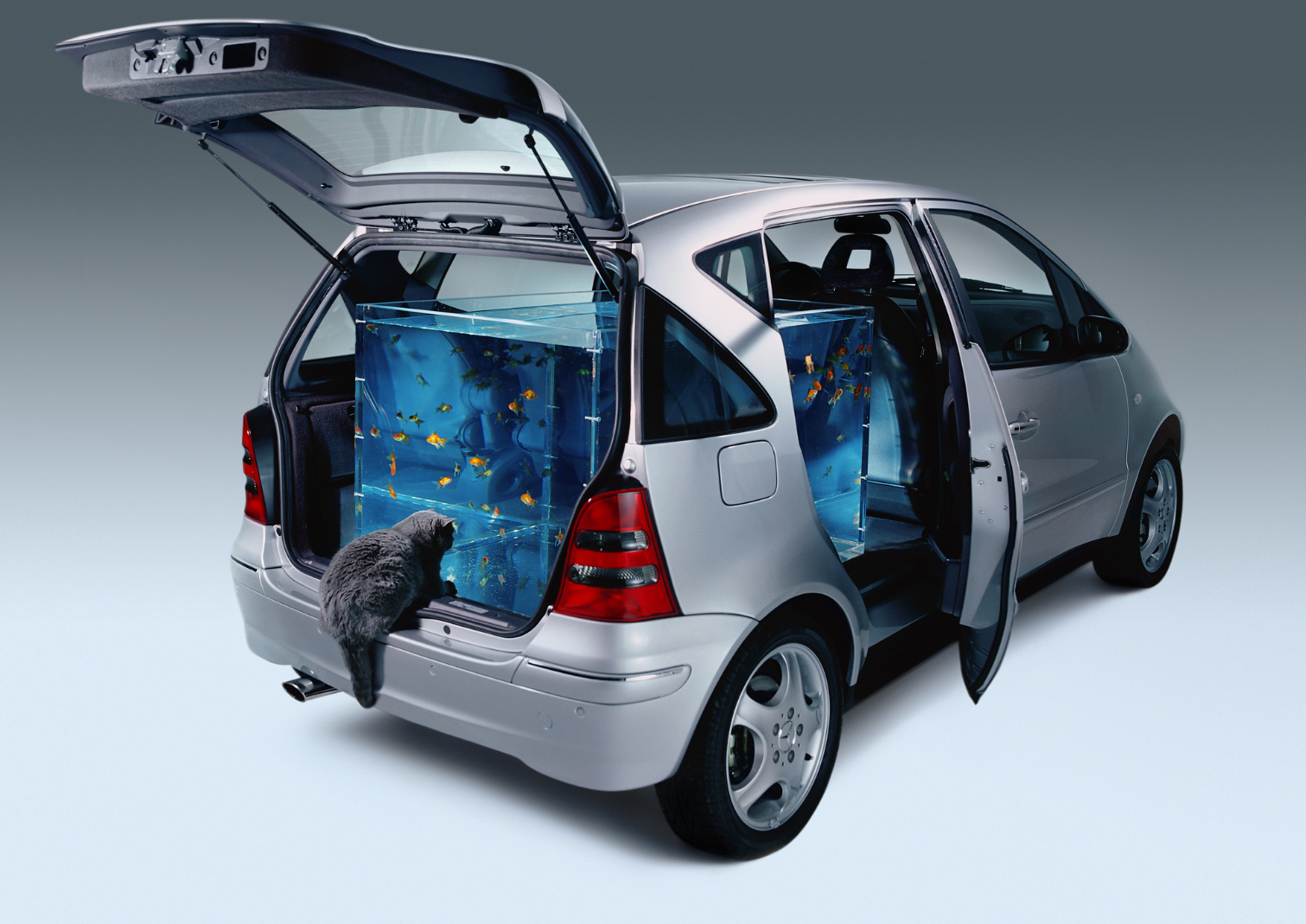 Le auto rivalutate nel tempo